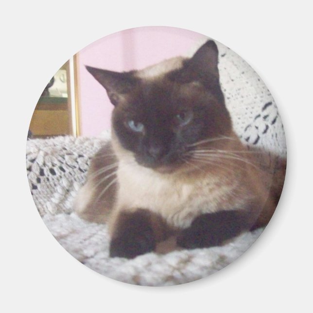 Princess on the couch magnet (Front)