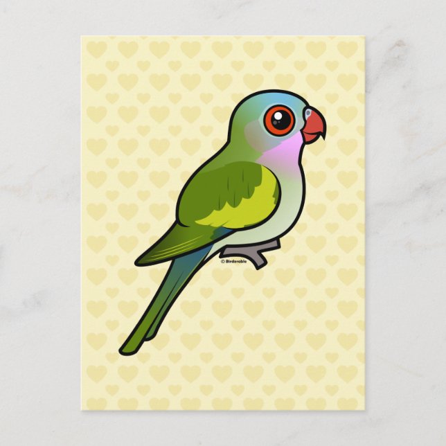 Princess Parrot Postcard (Front)