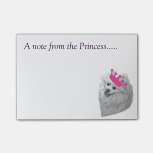 Princess Pomeranian notes original artwork