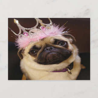Princess Pug Postcard