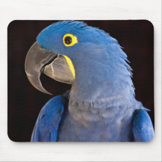 Princess Tara Mousepad