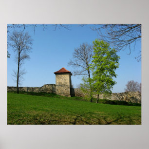 princess tower poster