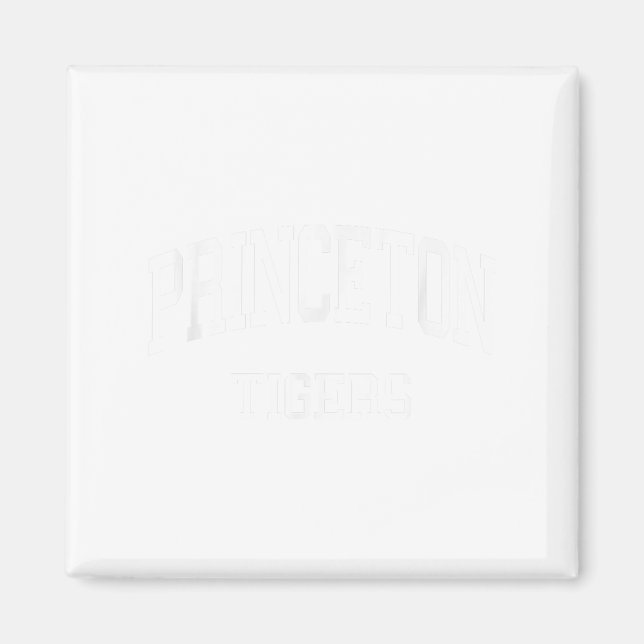 Princeton High School Hs Princeton Nj Retro Srts  Magnet (Front)