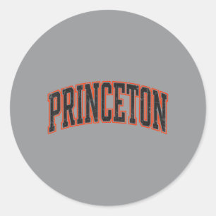 Princeton New Jersey Vintage Design Men Women Kids Classic Round Sticker
