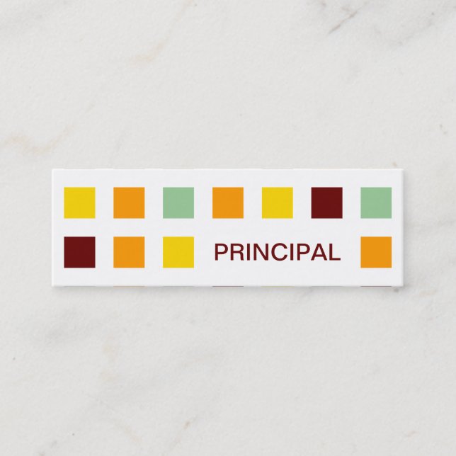PRINCIPAL (mod squares) Mini Business Card (Front)