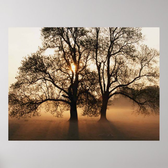 PRINT - 2 Big Trees Sepia Gold (Front)