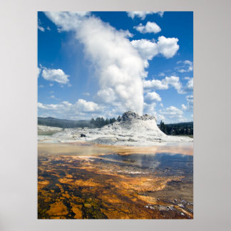Print - Castle Geyser, Yellowstone National Park,