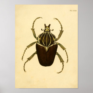 Print "Entomologie I"
