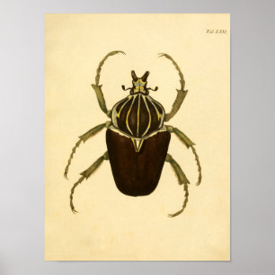 print "Entomology I"