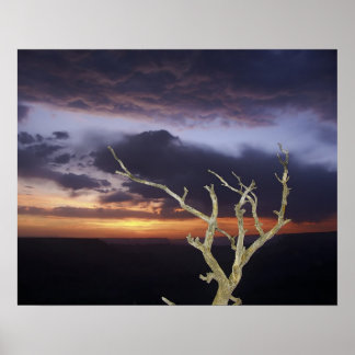 Print - Grand Canyon Sunset