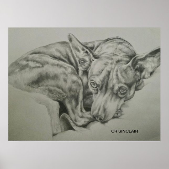 Print, Matte )MEET SAM by CR Sinclair Poster (Front)