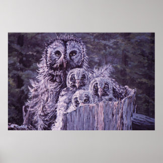 Print of "Owl Family"