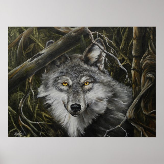 Print of Watchful Eyes Wolf Picture (Front)
