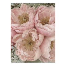 PRINT | Peonies I - 24in x 32in