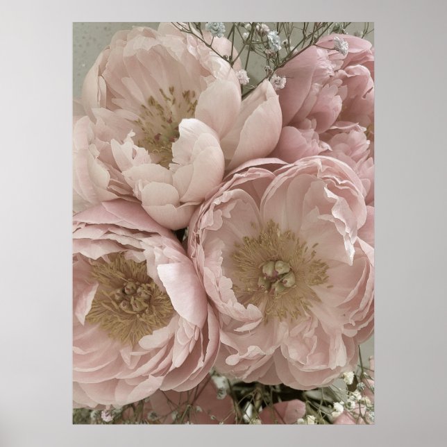 PRINT | Peonies II - 24in x 32in (Front)