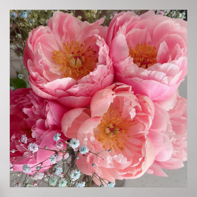 PRINT | Peonies II (30"x30") (Front)