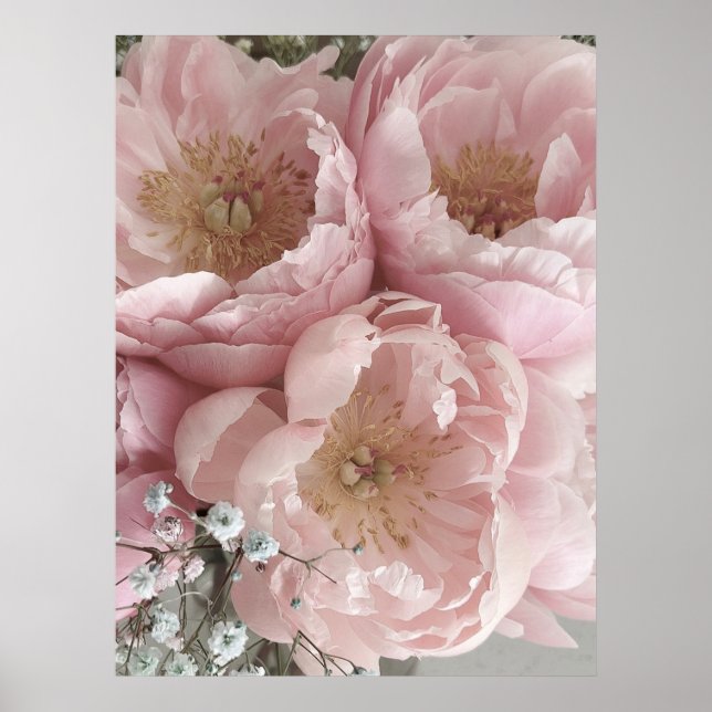 PRINT | Peonies III - 24in x 32in (Front)