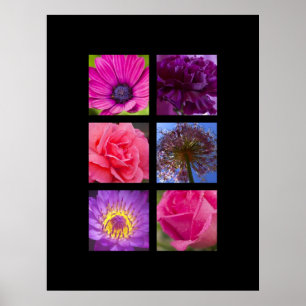 Print - Pink and Purple Flowers