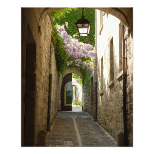 PRINT - St Remy France