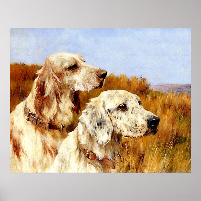 Print: Two Setters by Arthur Wardle Poster (Front)