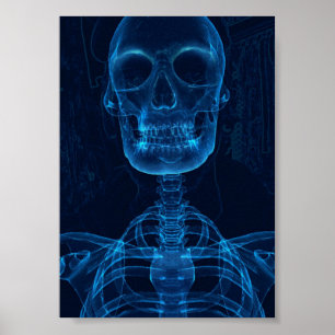 Print, Value Poster Paper (Matte)