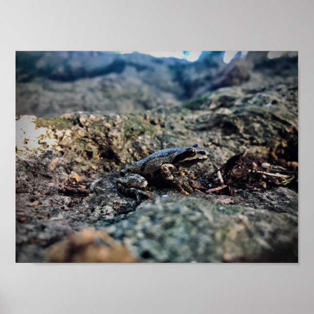 Print, Value Poster Paper (Matte) (Front)