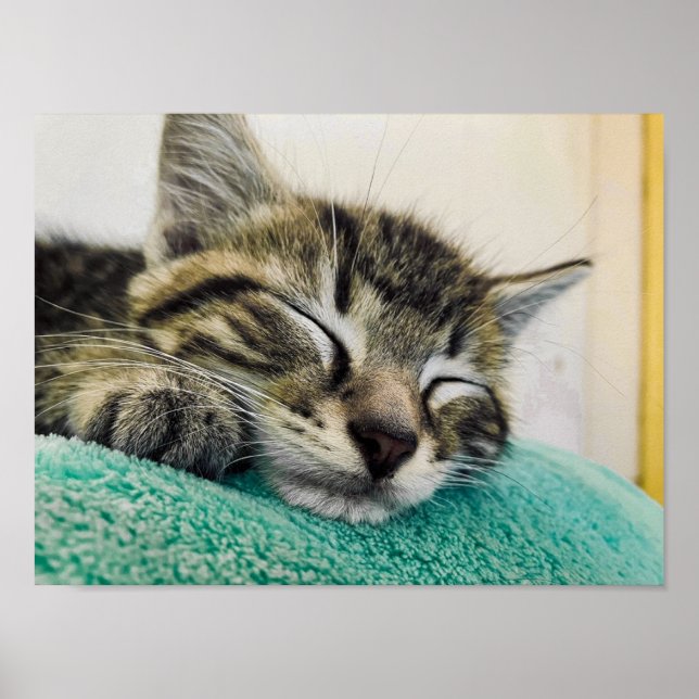 Print, Value Poster Paper (Matte) (Front)