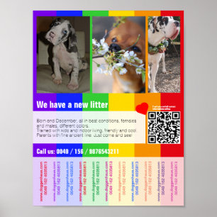 printable puppies for sale template poster