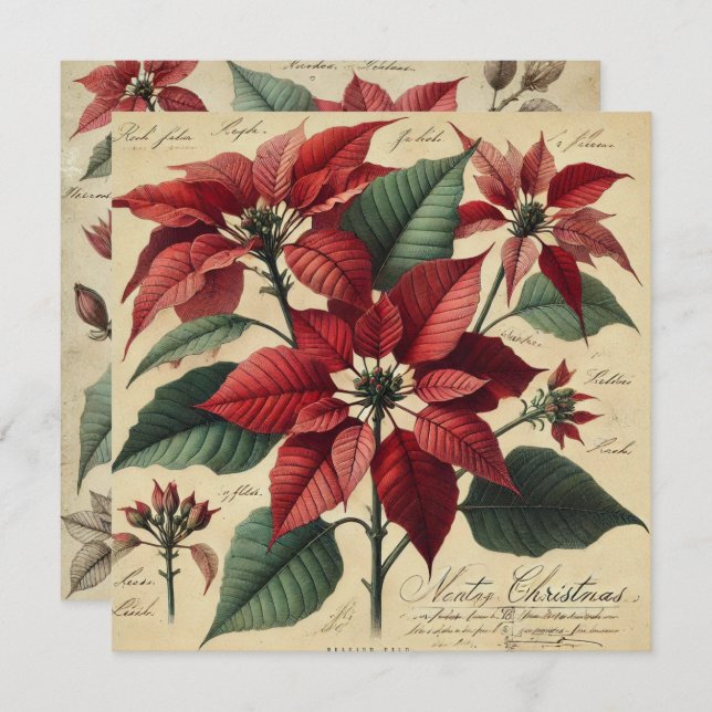 Printable Vintage Christmas Poinsettia Botanical Invitation (Front/Back)