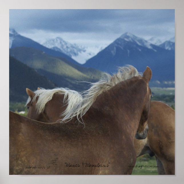 printed Canvas- Horses and Mountains Poster (Front)