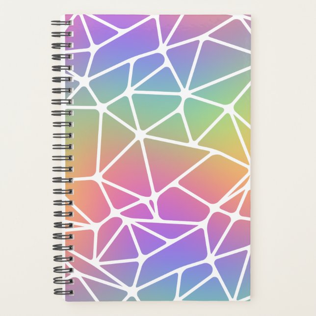 prism synapse net - rainbow web : planner (Front)
