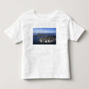 Private Island homes of Biscayne Bay, Star Toddler T-Shirt