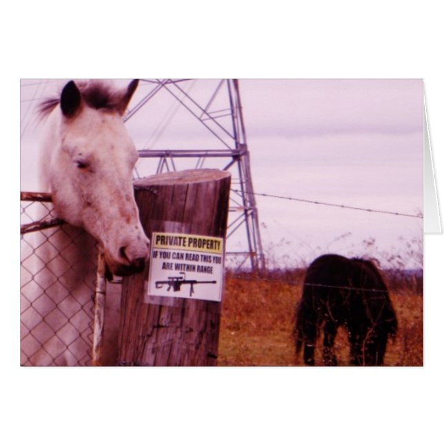 Private Property lavender Horse (Front Horizontal)