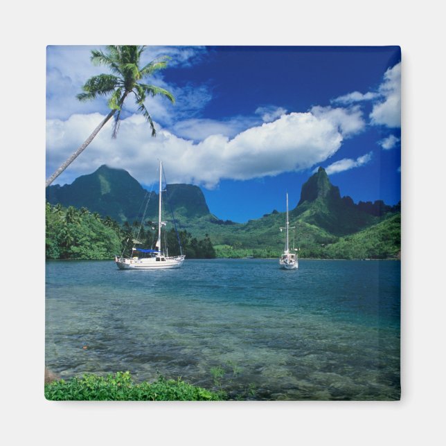 Private yachts anchored in Opunohu Bay on the Magnet (Front)