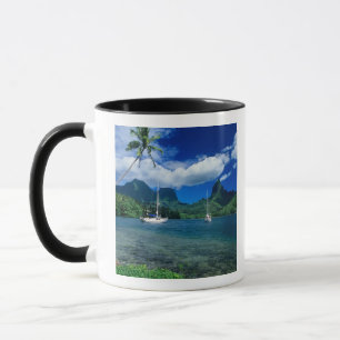 Private yachts anchored in Opunohu Bay on the Mug