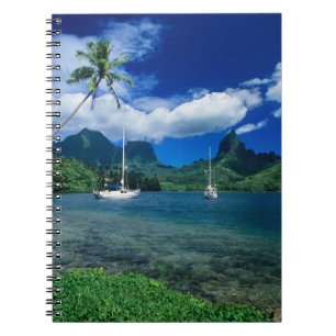 Private yachts anchored in Opunohu Bay on the Notebook