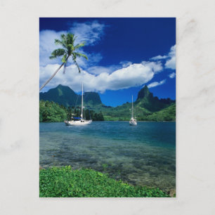 Private yachts anchored in Opunohu Bay on the Postcard