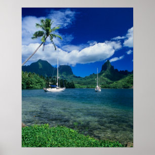 Private yachts anchored in Opunohu Bay on the Poster