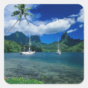 Private yachts anchored in Opunohu Bay on the Square Sticker