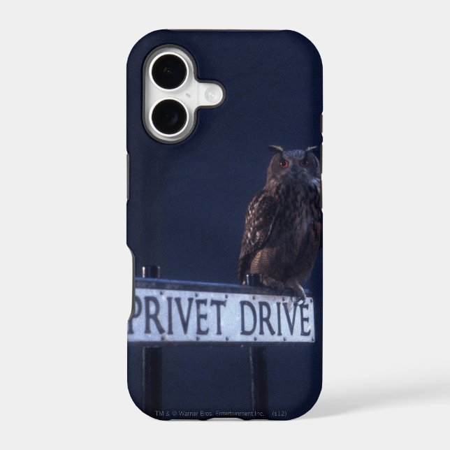Privet Drive (Back)