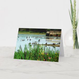 "Privilege" Lake Scene with Cattails Ducks Dock Card