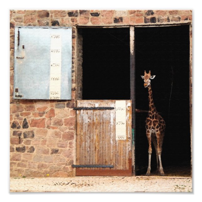 Priya Digital Art Print (Front)