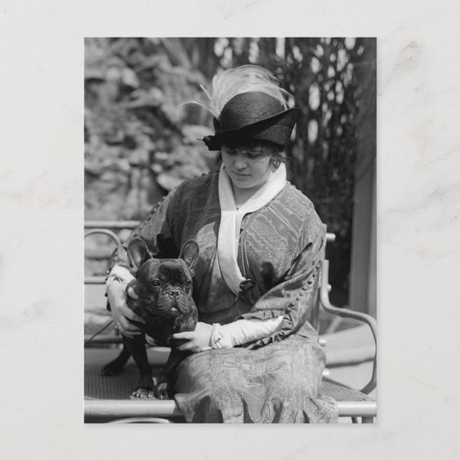 Prize Bulldog, 1910s Postcard (Front)