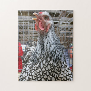 Prize Winning Chicken Jigsaw Puzzle