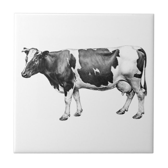 Prizewinning Dairy Cow Ceramic Tile (Front)
