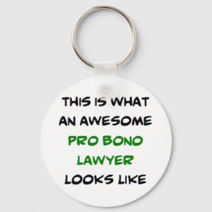pro bono lawyer, awesome key ring