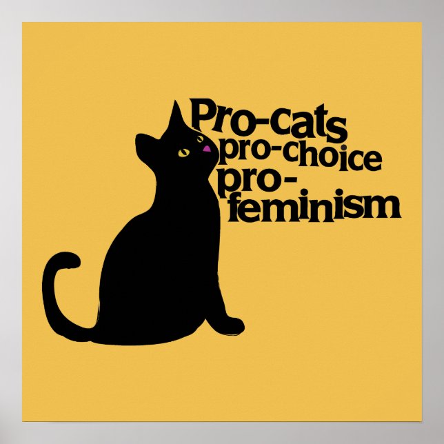 pro-cats pro-choice pro-feminism poster (Front)