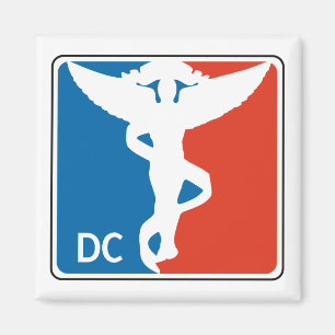 Pro Chiropractor Magnet