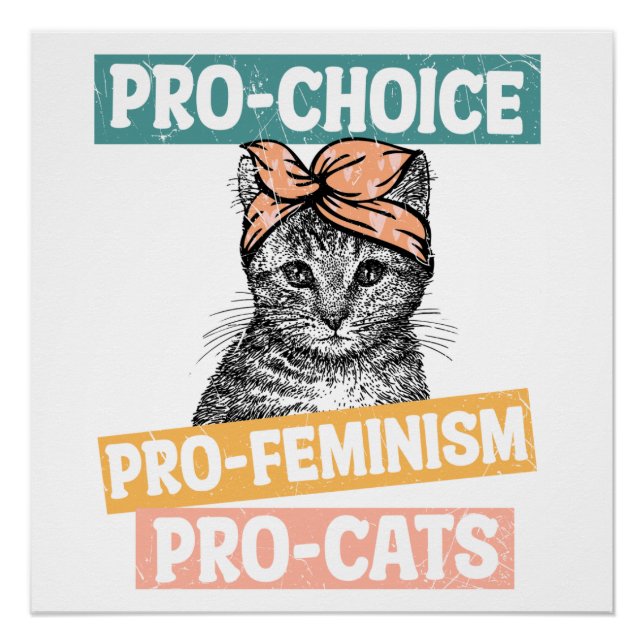 Pro Choice Pro Feminism Pro Cats Poster (Front)