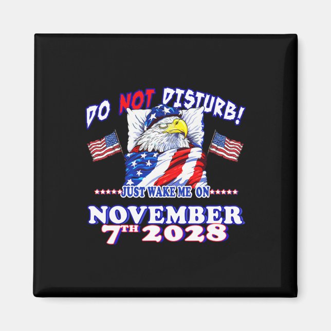 Pro Democracy Fourth July 4th Sarcastic Election E Magnet (Front)